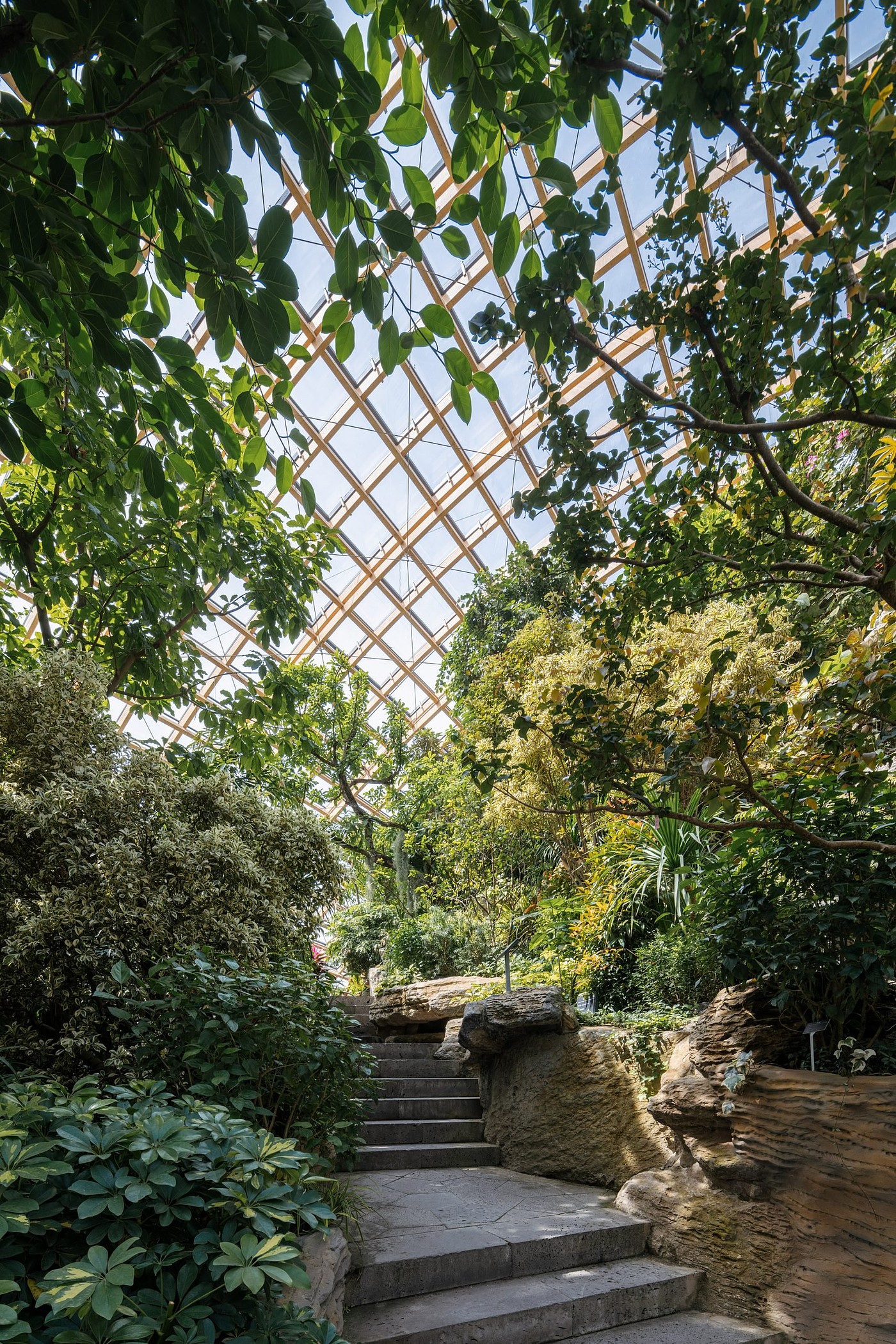 太原植物园，建筑，室内设计，博物馆，