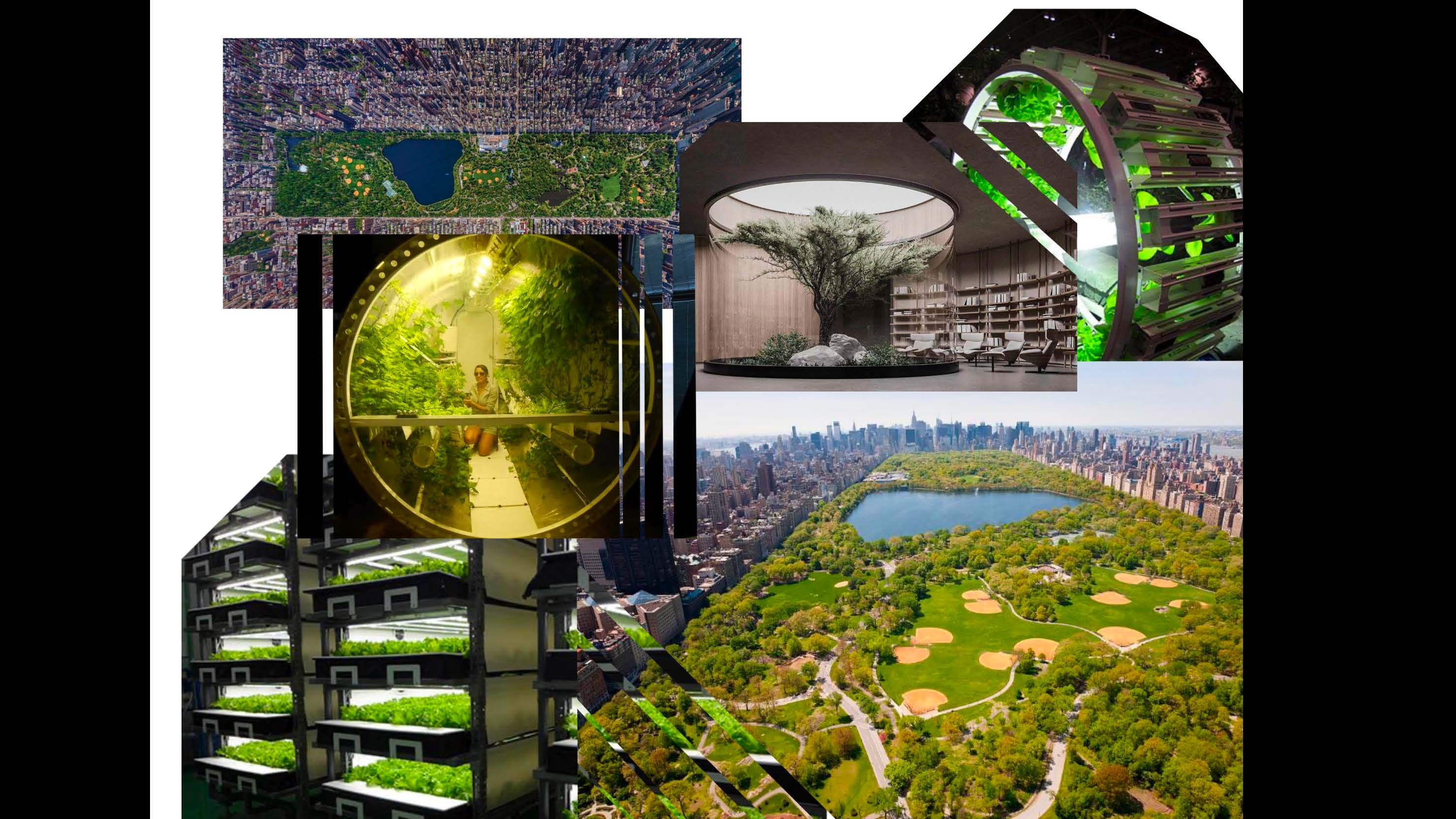 Exhibition design，future，Mars，