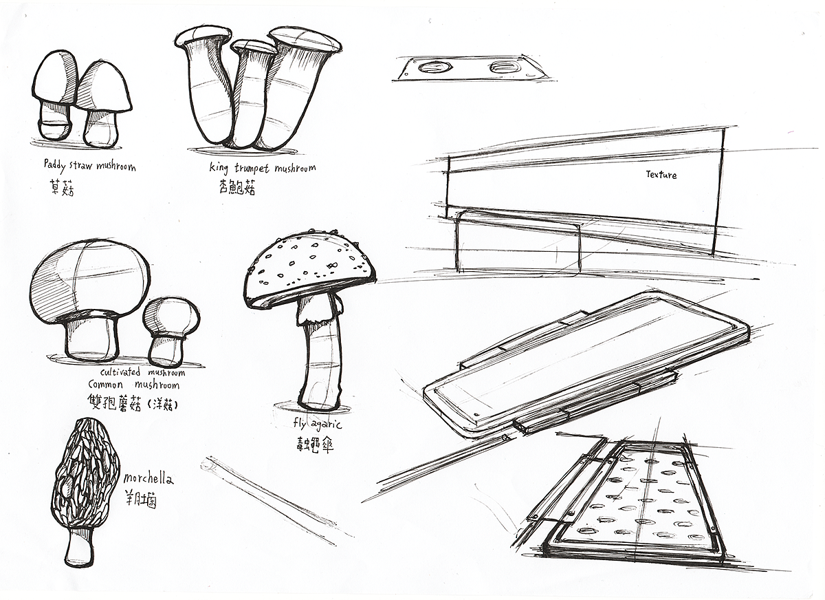 children，Auxiliary tools，Textured forest，medical apparatus and instruments，Tactile recognition，