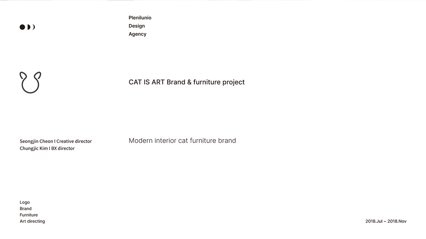 cat，furniture，Pets，