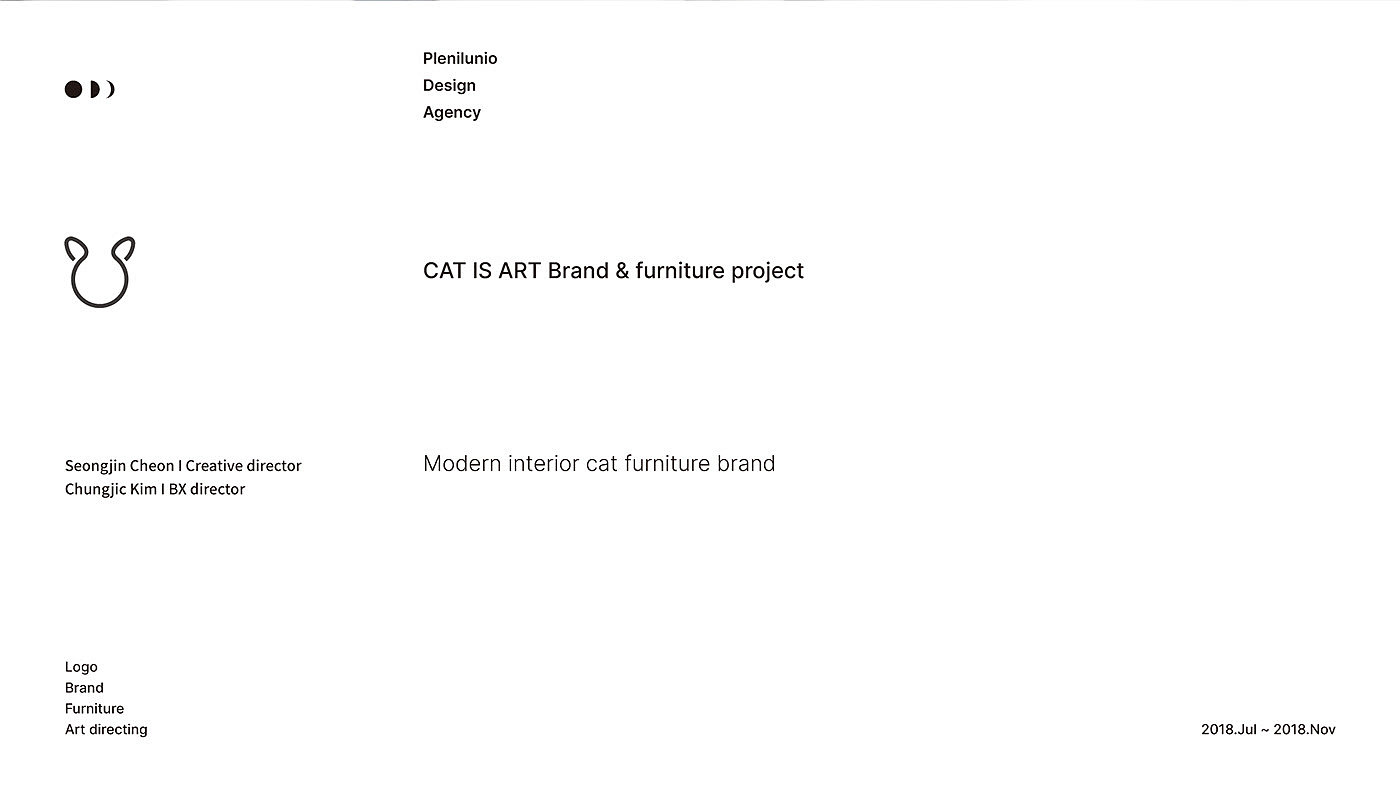 cat，furniture，Pets，