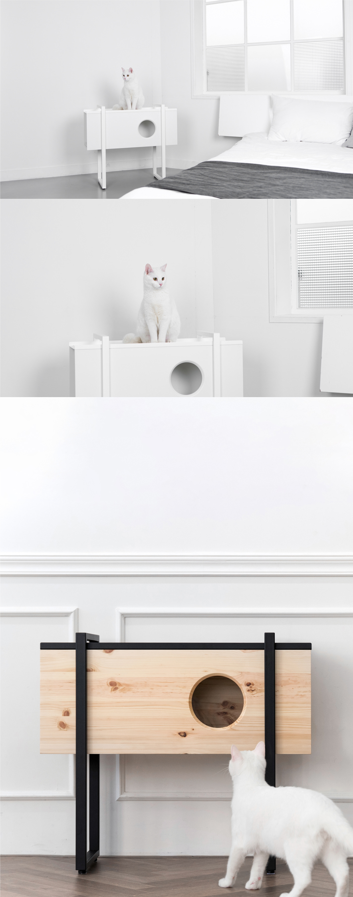 cat，furniture，Pets，