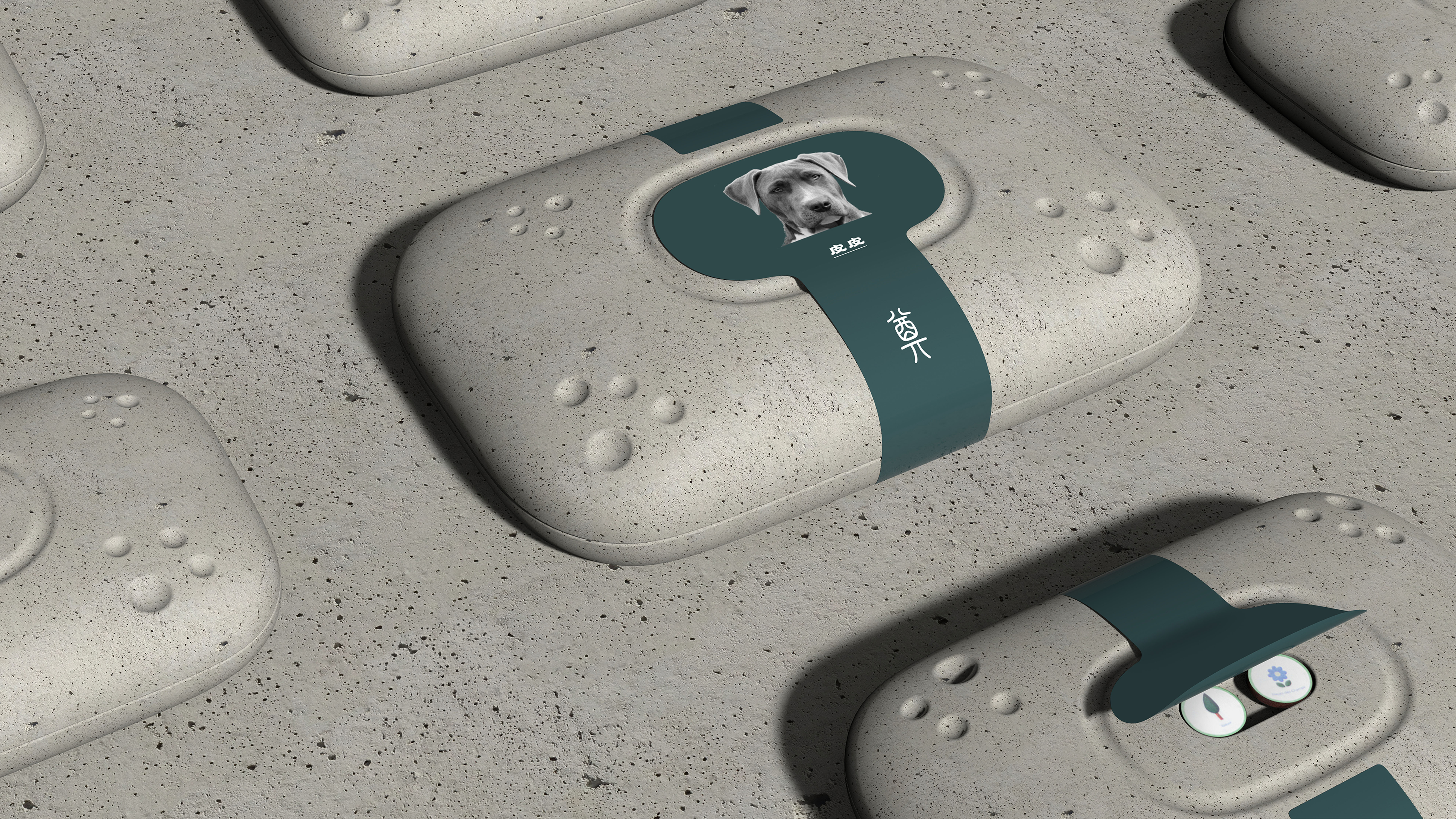 Material Science，China "Wenqi Award"，Silver Award，