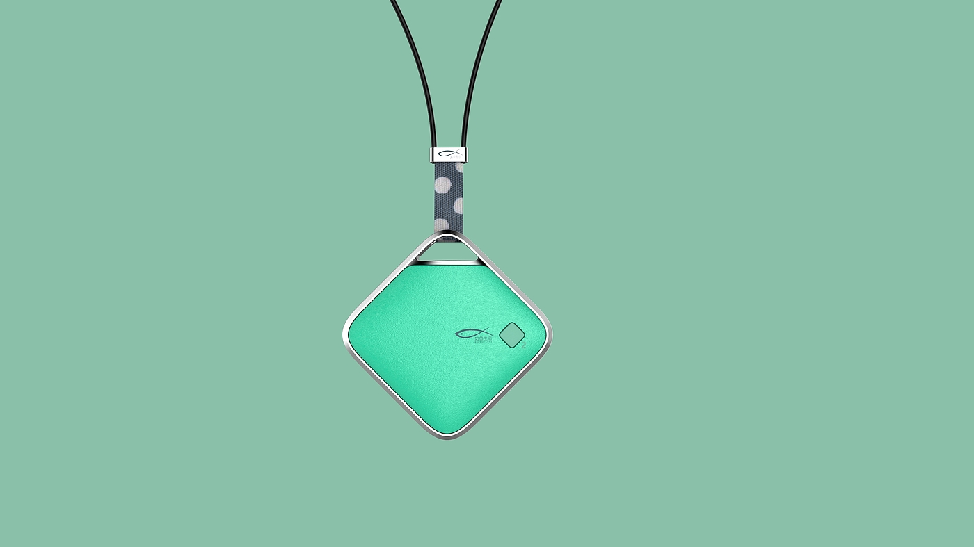 Functional decorative pendant，