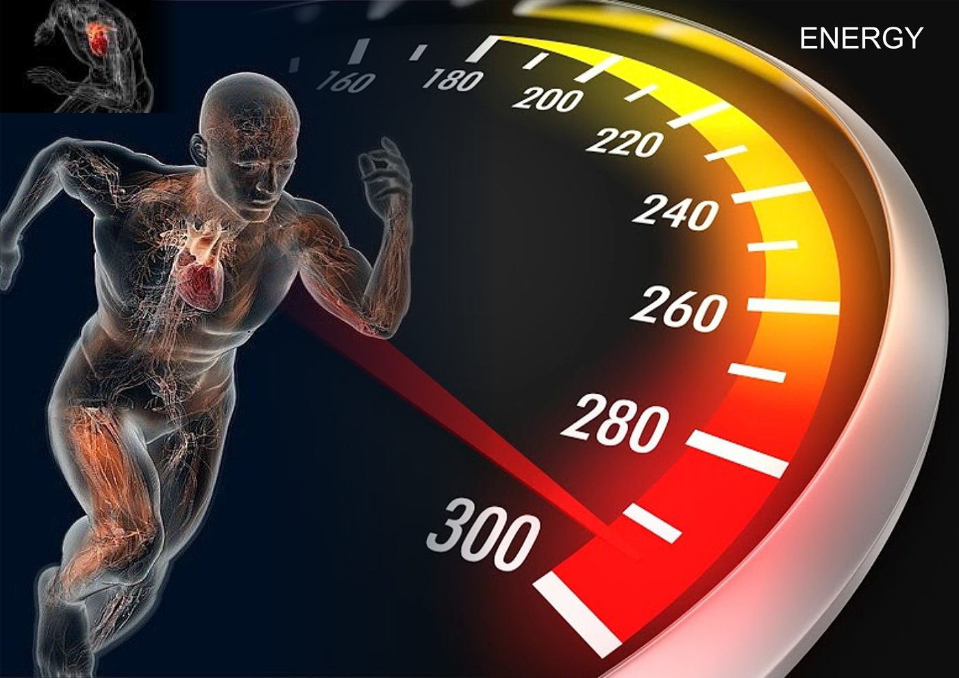 SUZUKI，interactive，concept，science and technology，