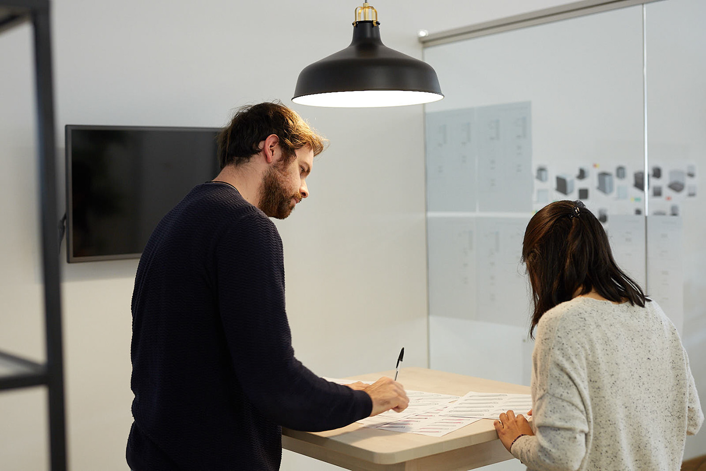 hair drier，Ion，small home appliances，function，esthetics，TAURUS LYSS，