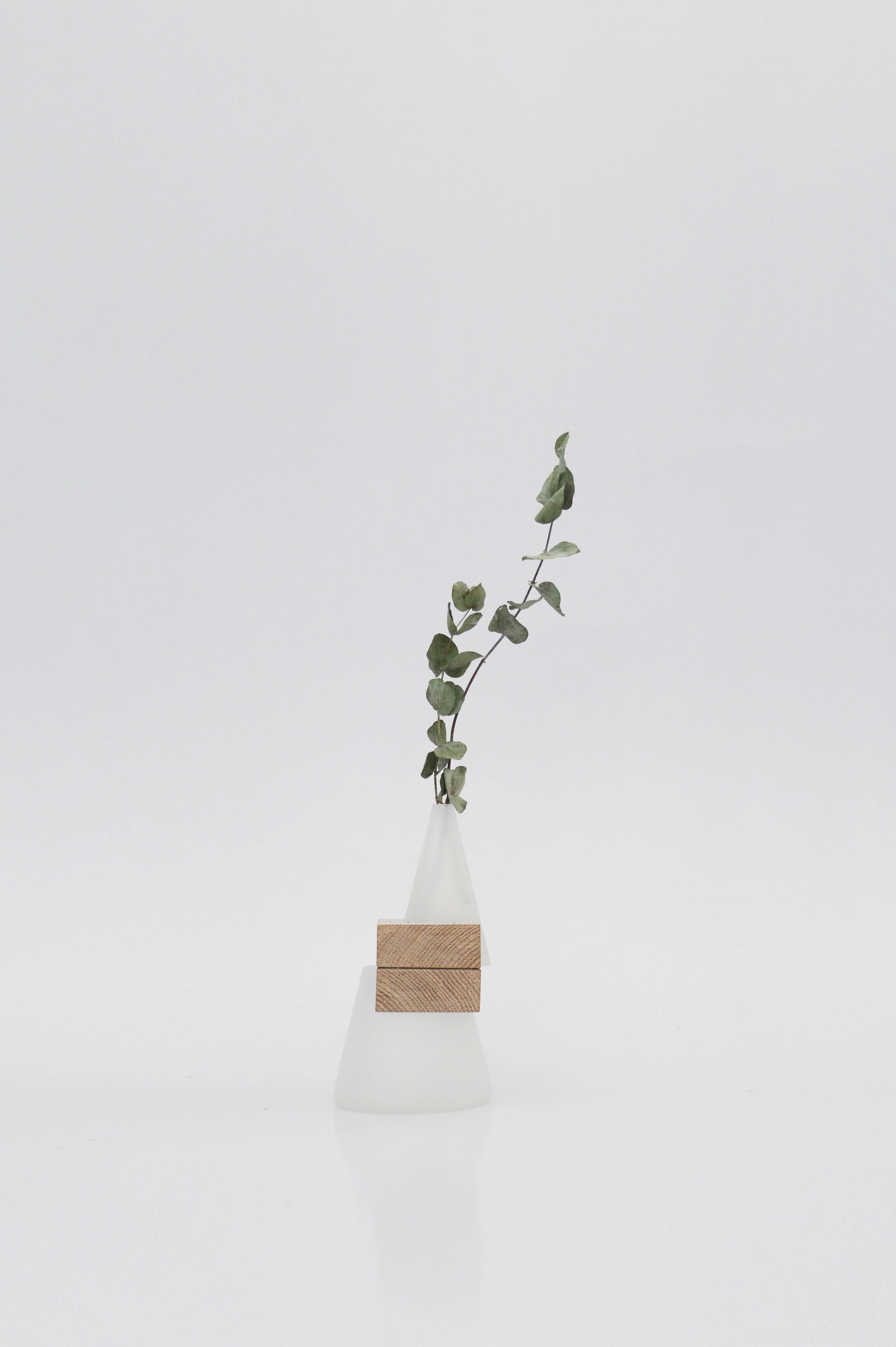 Floral ｜ storage ｜ dislocation ｜ geometry ｜ emotion ｜，