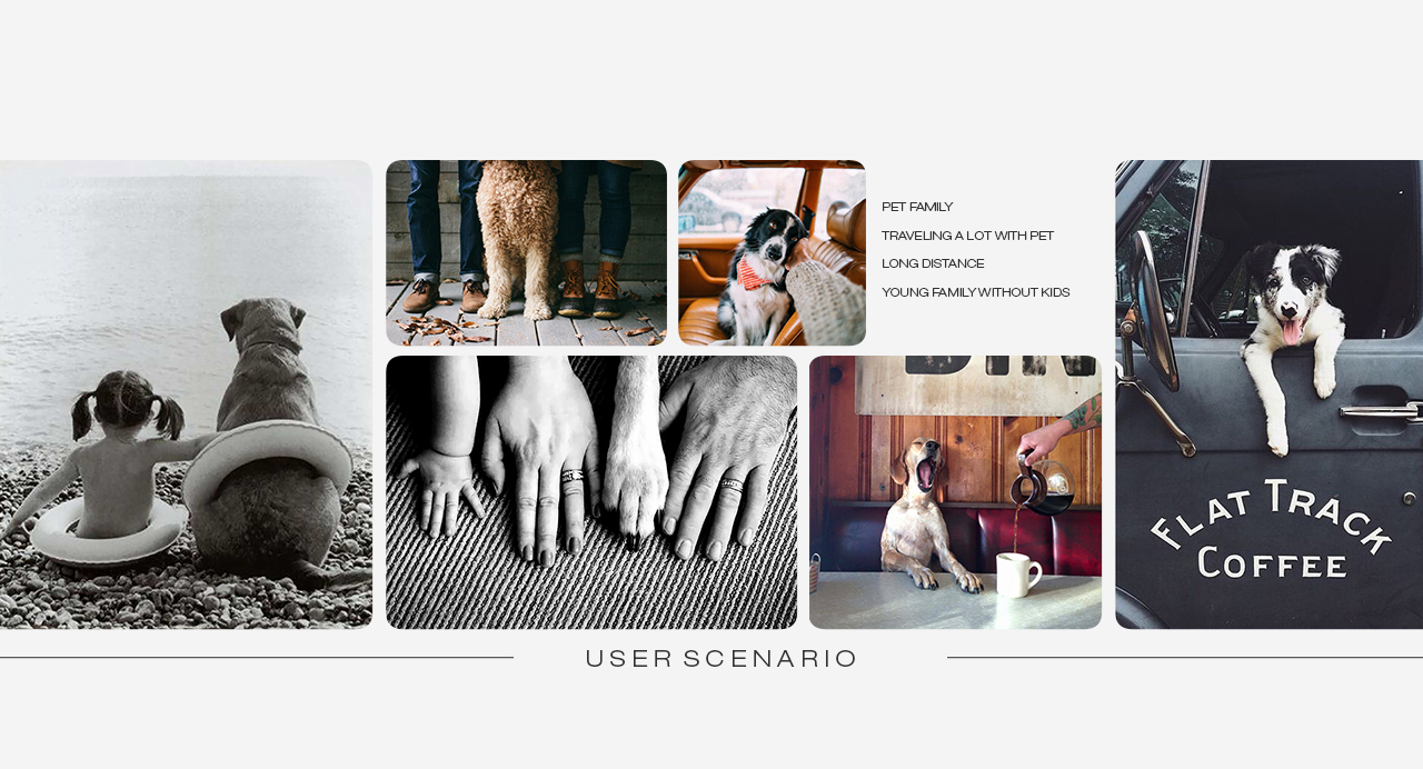 Automotive interior，conceptual design，Pets，partner，