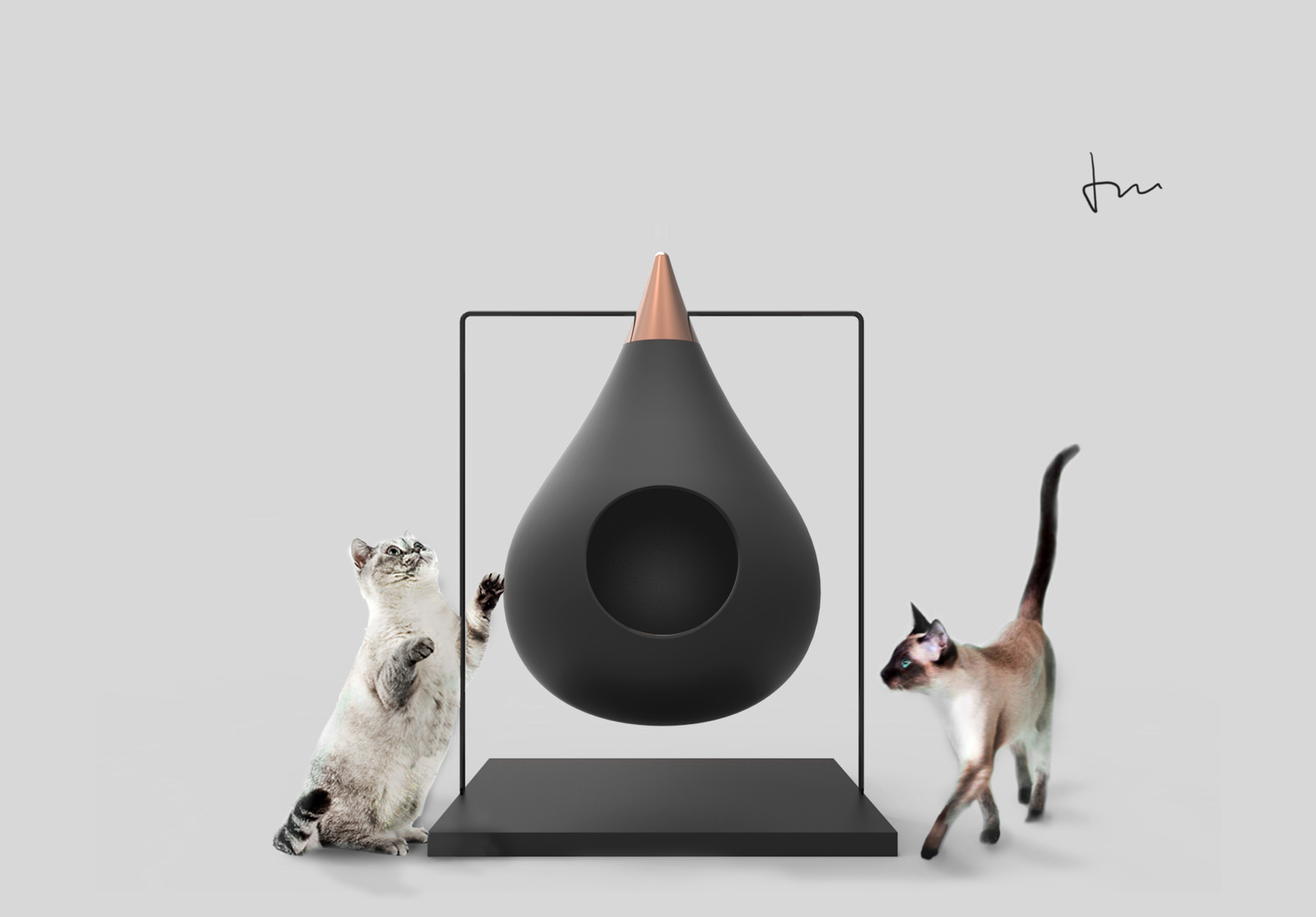 Pets，cat，Cat nest，cat owner，Cat food，cattery ，Cat coffee，