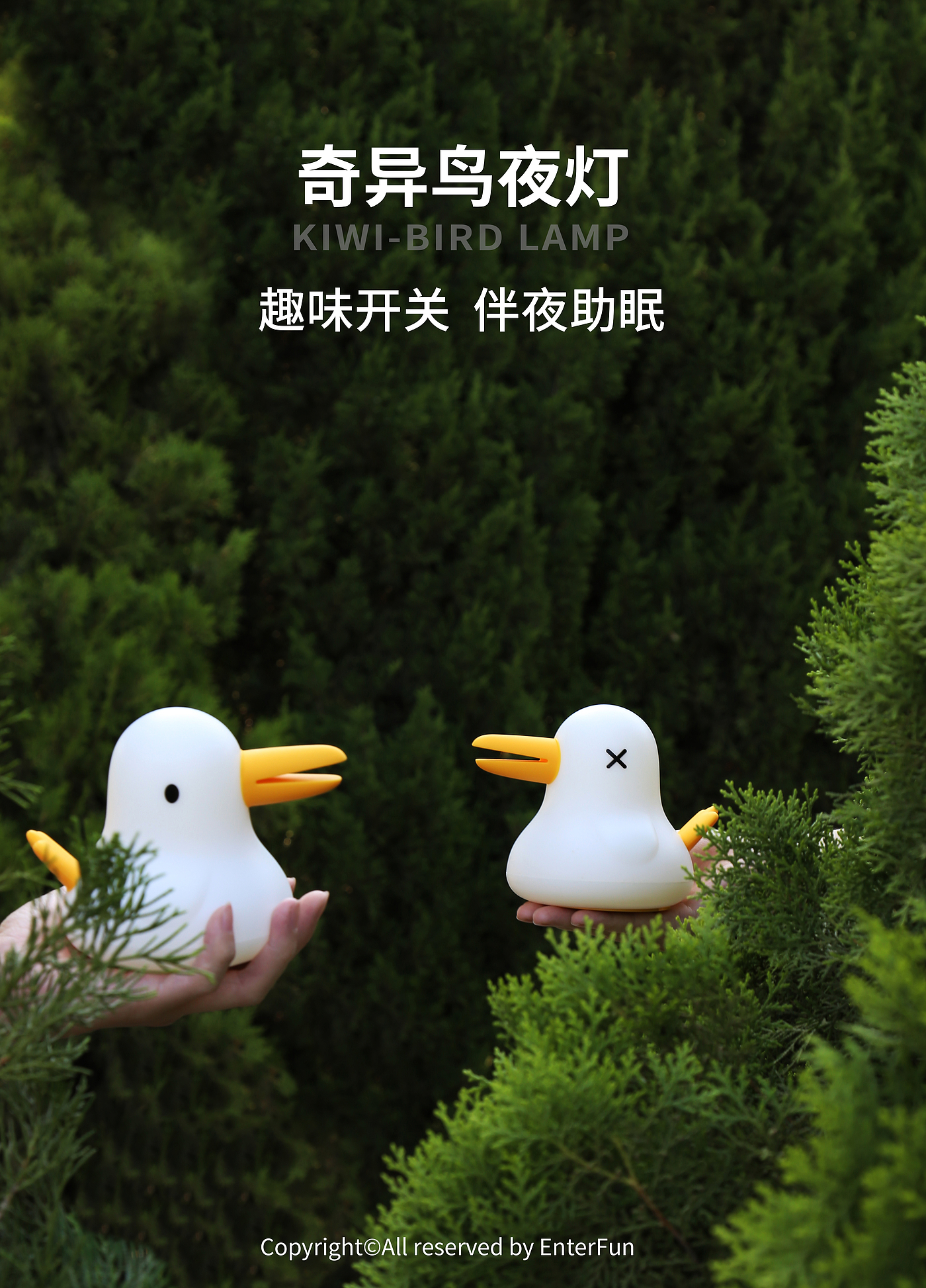 Night light，Fun switch，Adjustable light，Sleep with you，Atmosphere lamp，Cute style，Bird，charge，