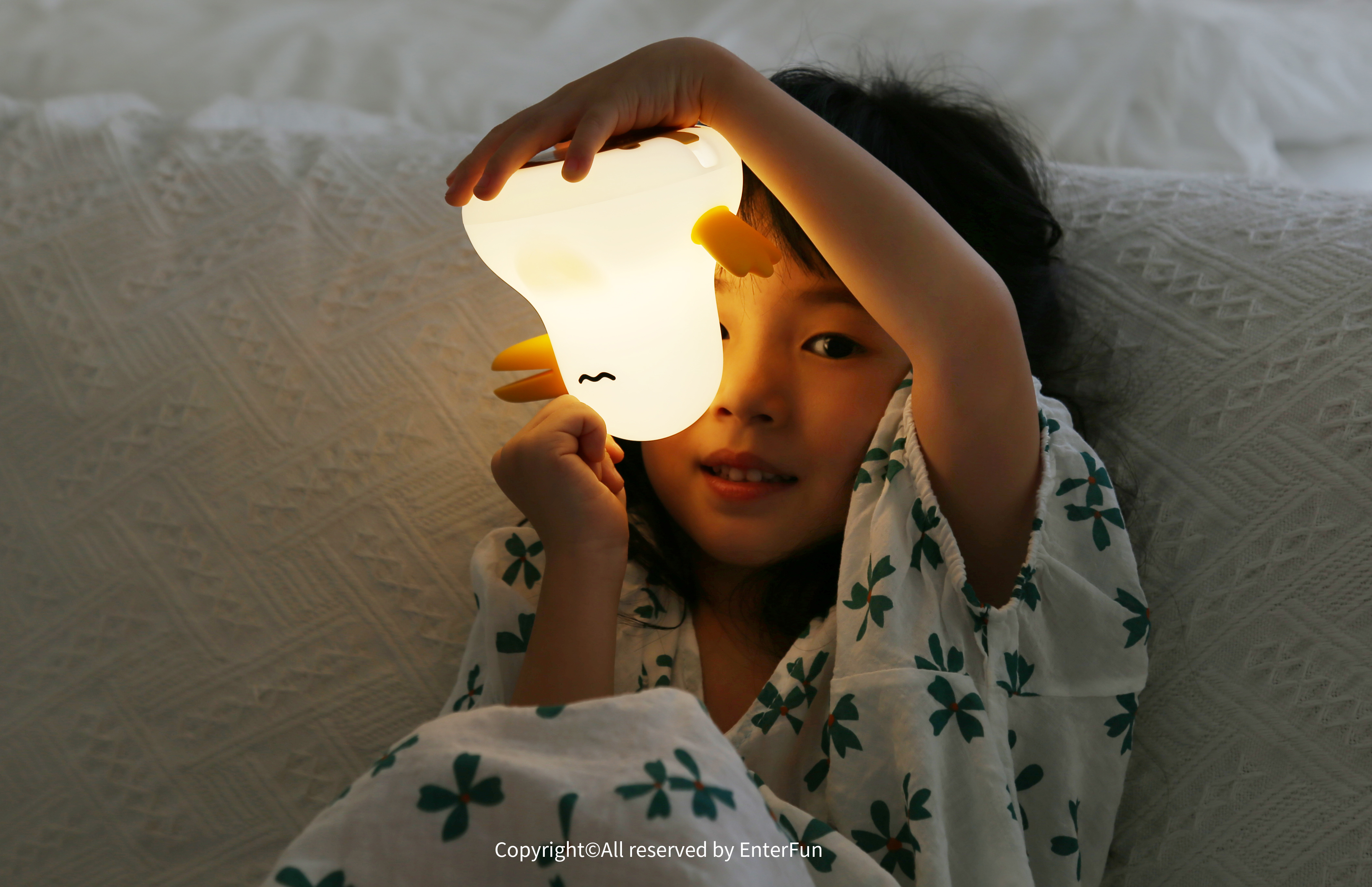 Night light，Fun switch，Adjustable light，Sleep with you，Atmosphere lamp，Cute style，Bird，charge，