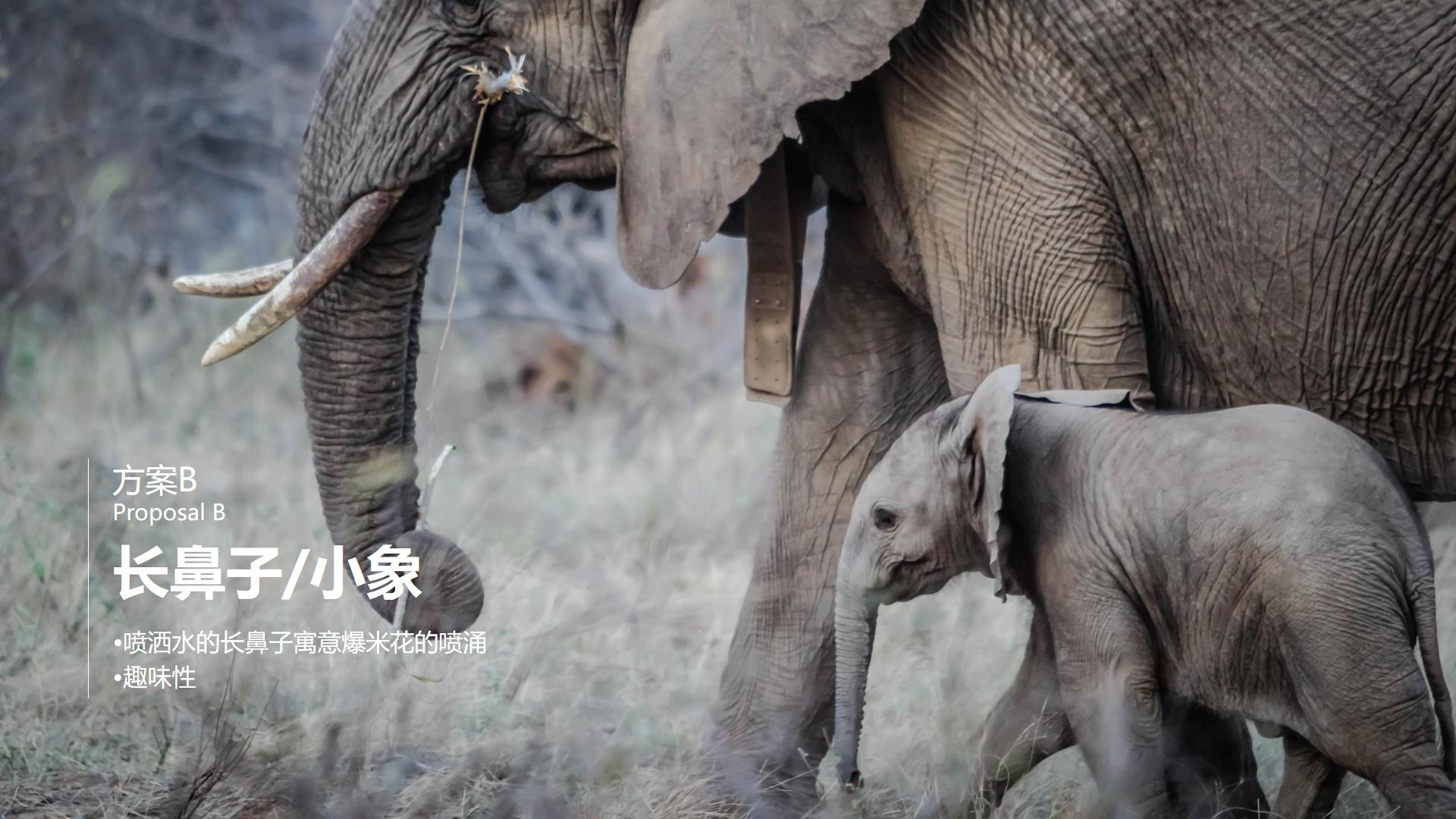 Popcorn machine，Lime industrial design，Lime design，Guangdong Industrial Design，popcorn，product design，elephant，Foshan Industrial Design，