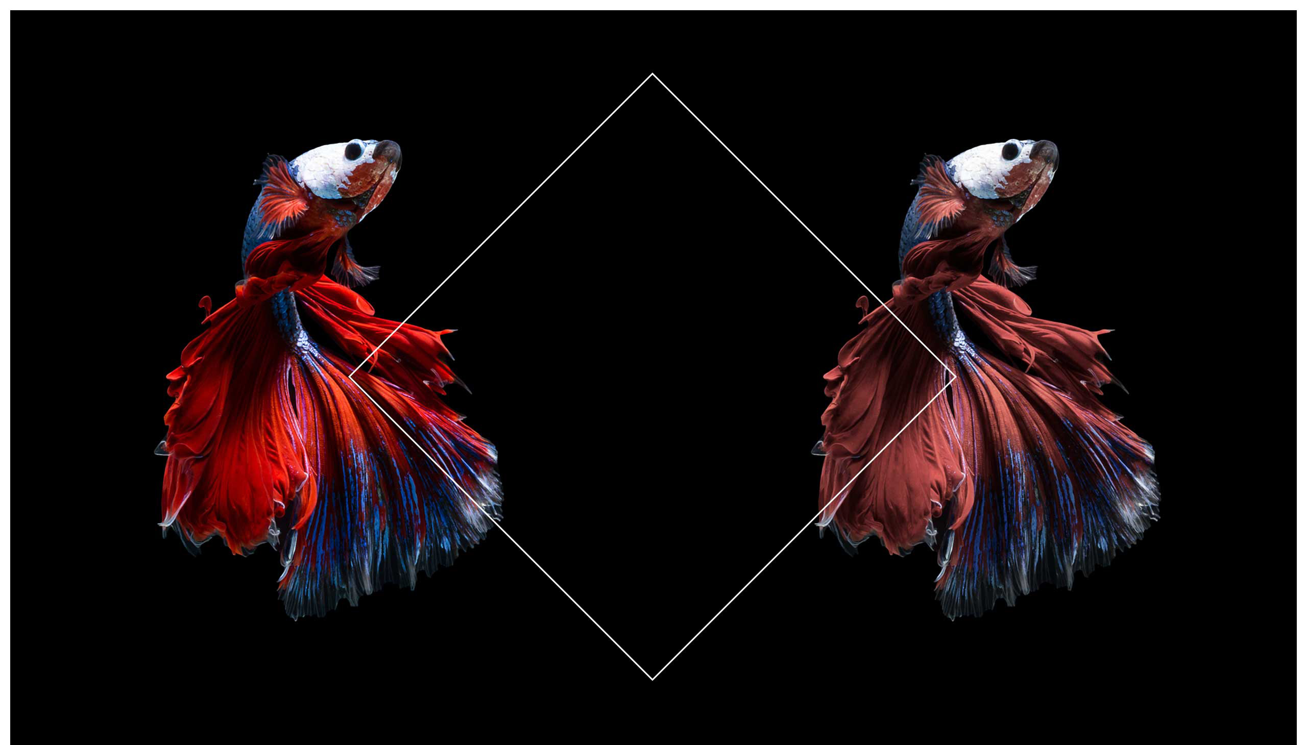 millet，television，Digital，product design，