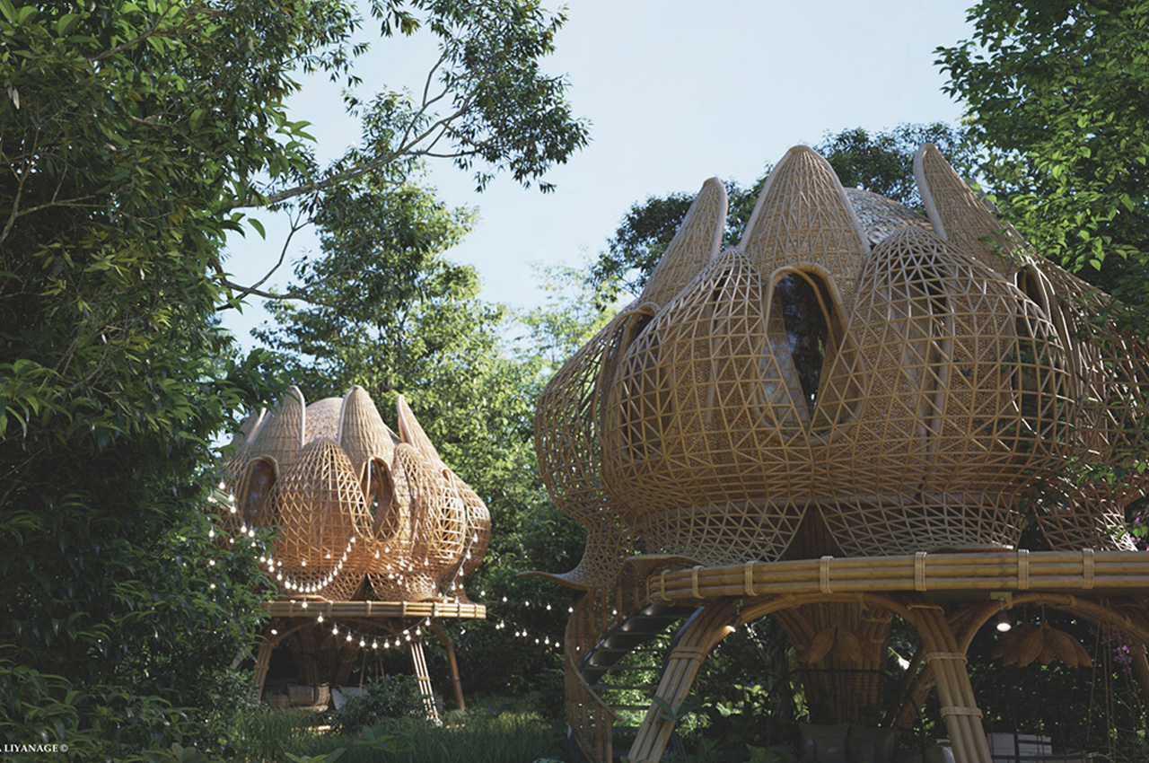 villa，Lotus type，dream，