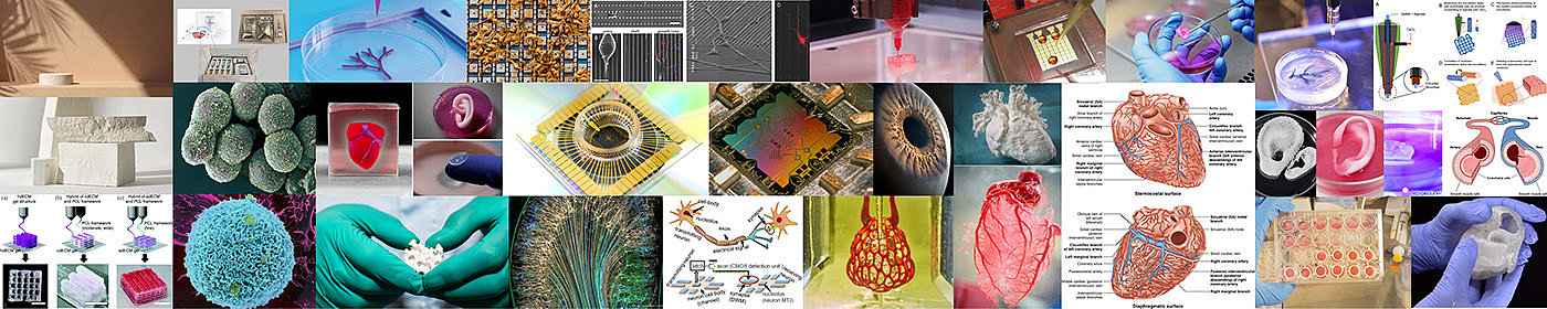 Bioprinting，3D printing，Cells，