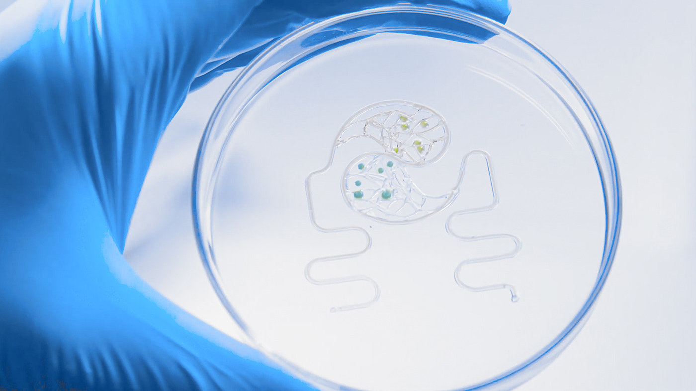 Bioprinting，3D printing，Cells，