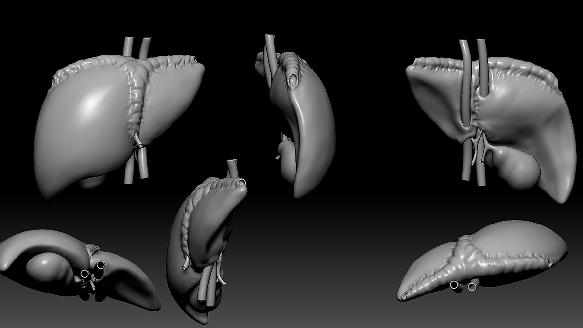 生物打印，3d打印，细胞，