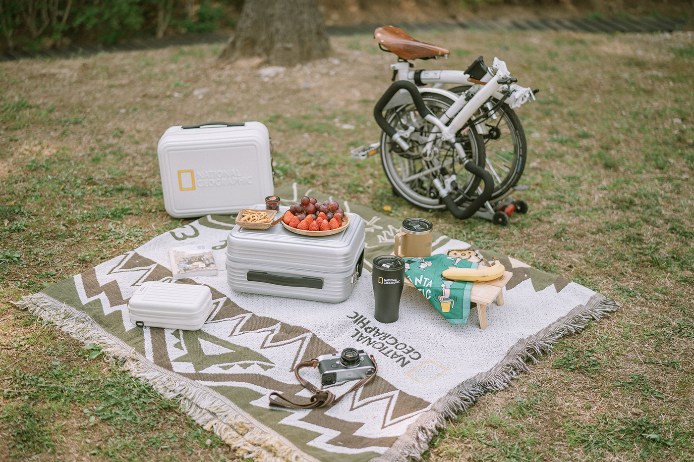 Mini，trunk，convenient，