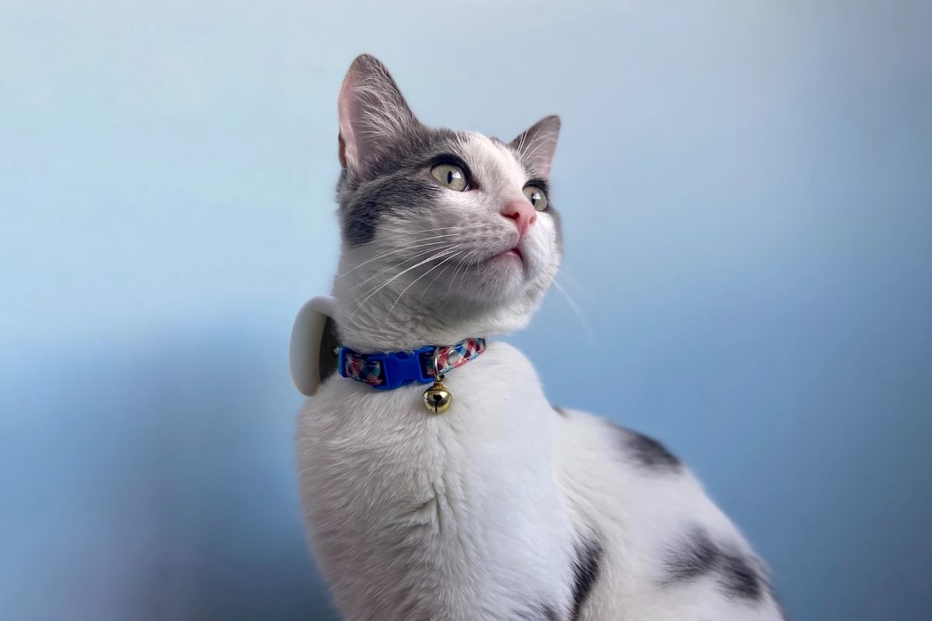 Pets，Table，camera，Pet nest，