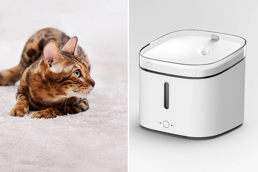 Pets，Table，camera，Pet nest，