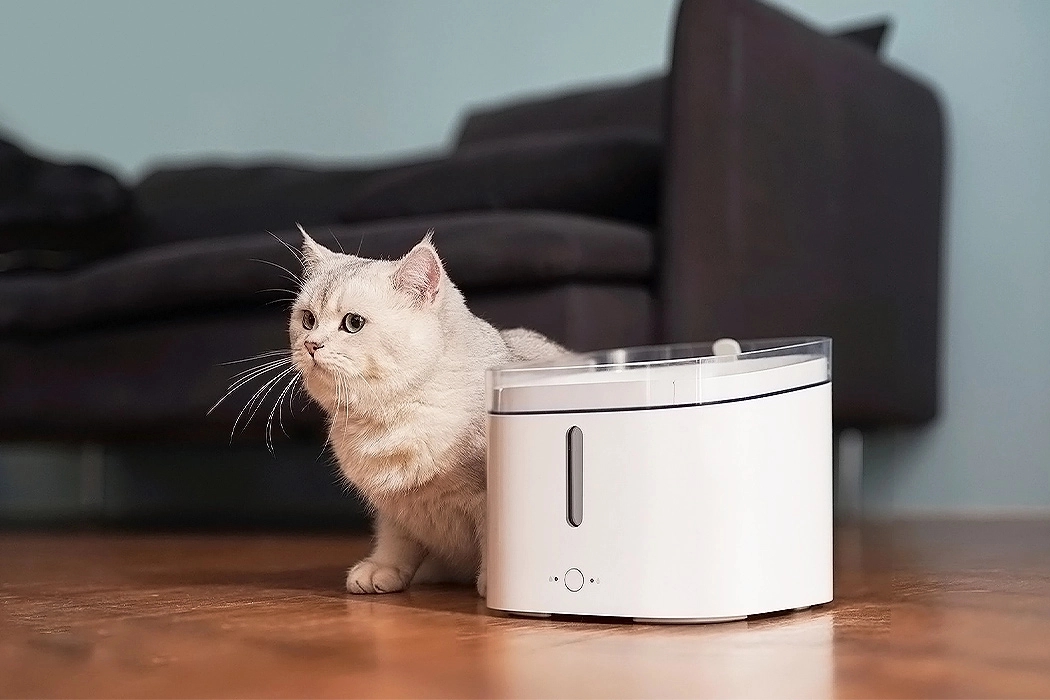 Pets，Table，camera，Pet nest，