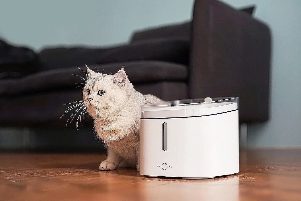 Pets，Table，camera，Pet nest，