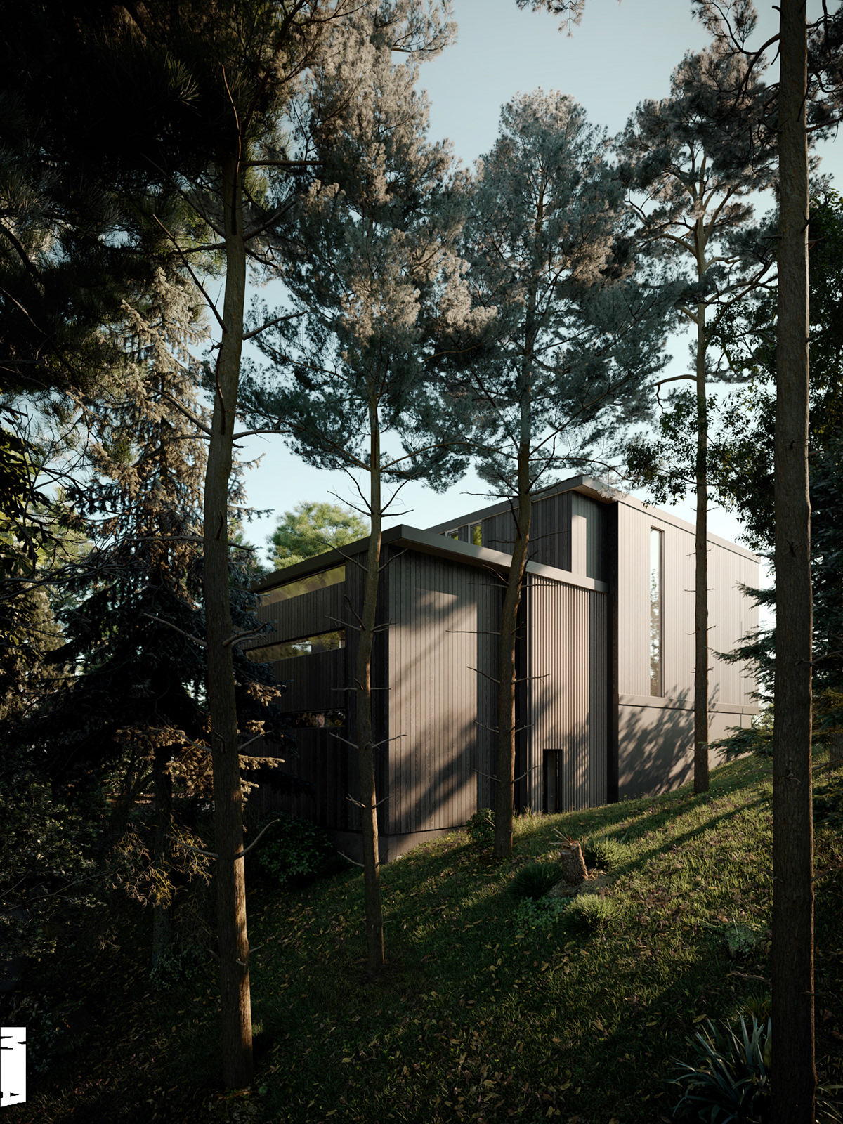 residence，San Francisco，cozy，indoor，