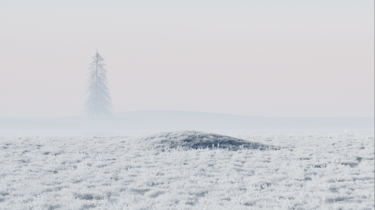 chair，wooden ，furniture，cgi，