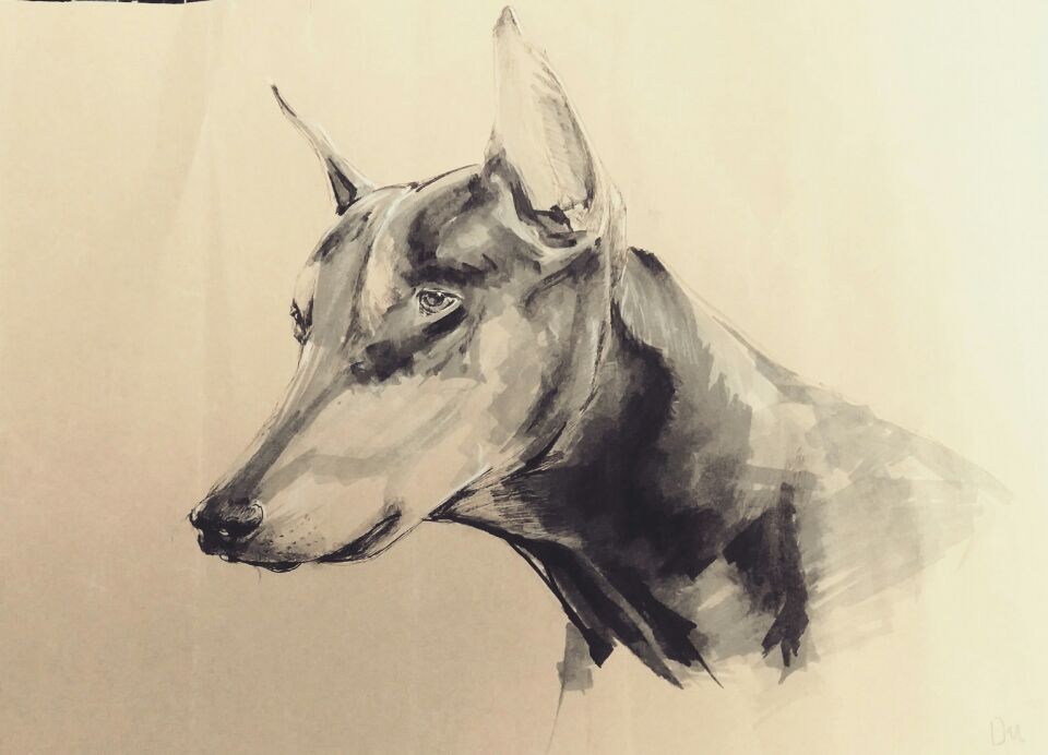 marker pen，automobile，animal，Hand drawn，