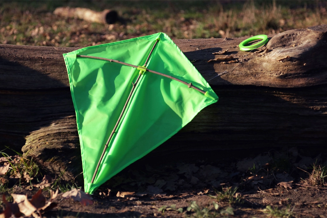 Fine wood，Toys，The Things To Make，