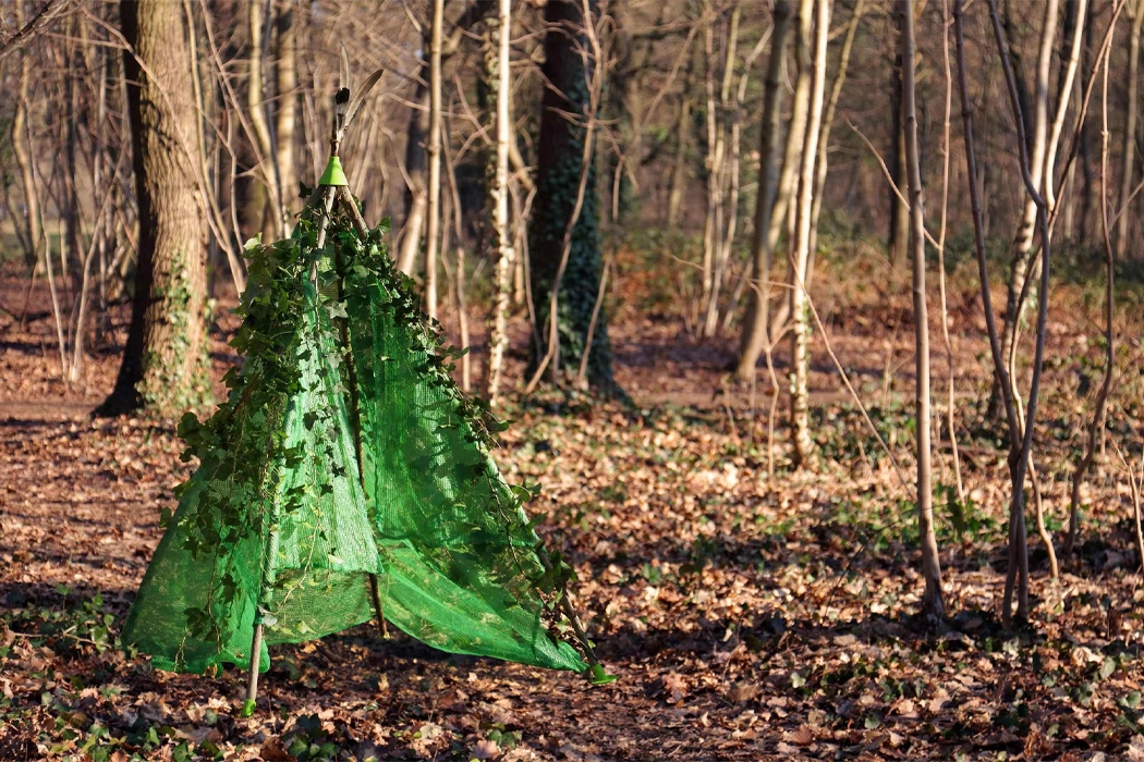 Fine wood，Toys，The Things To Make，