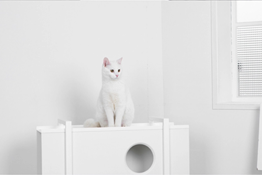 geometry，Cat nest，Pet furniture，
