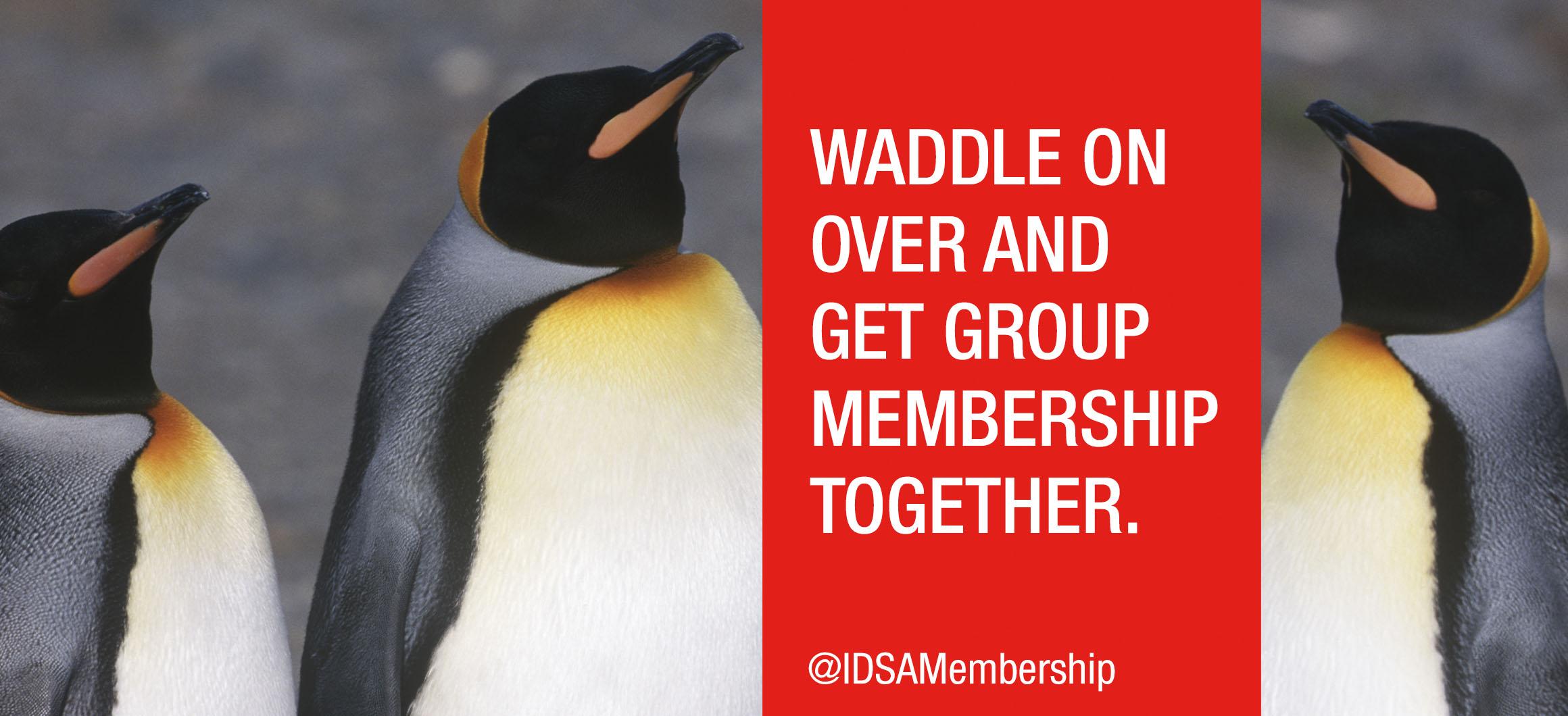 idea，Design Award，international，authority，Three design awards，U.S.A，if，red dot，Industrial Design Competition，dried food，