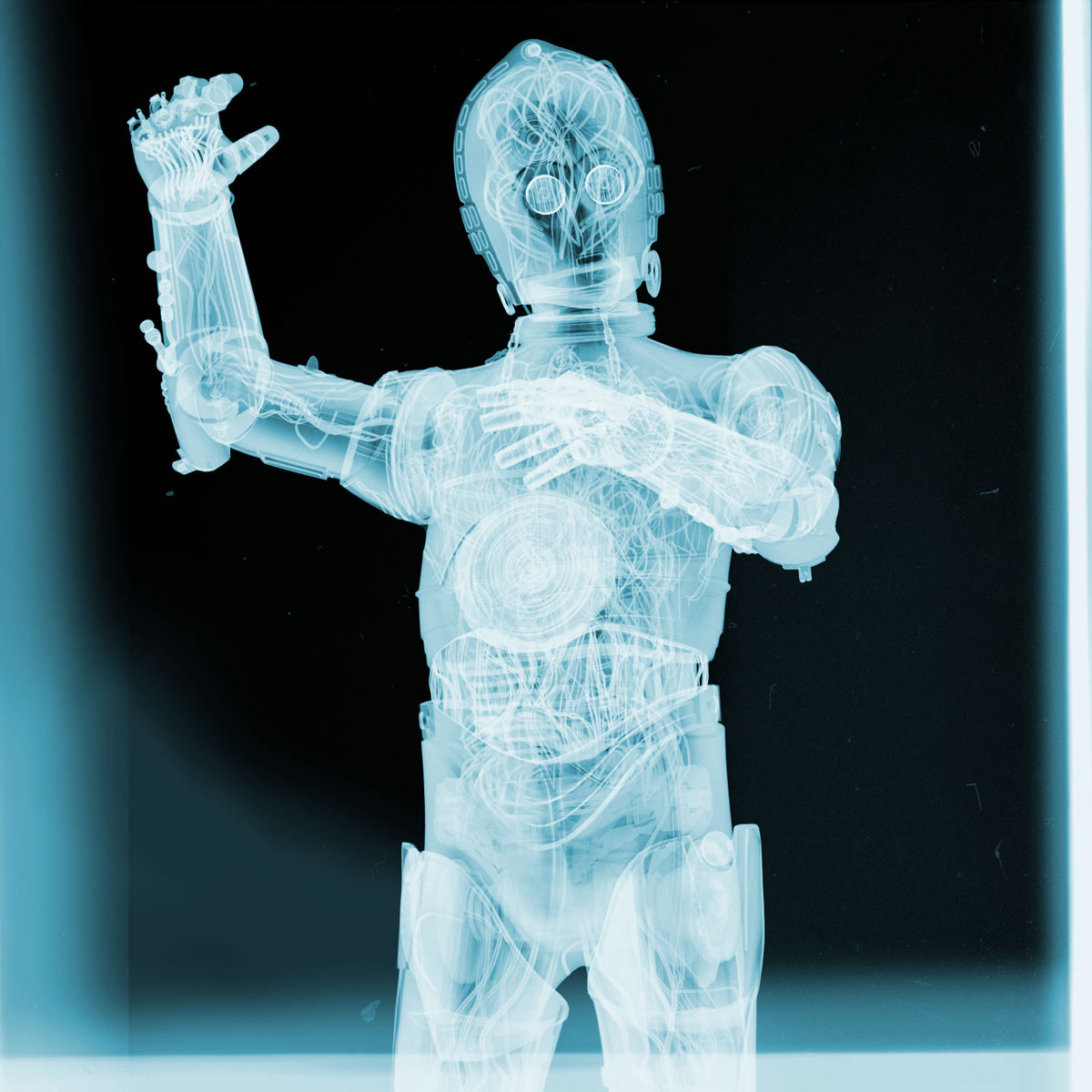 perspective，medical care，X-ray，originality，human skeleton，