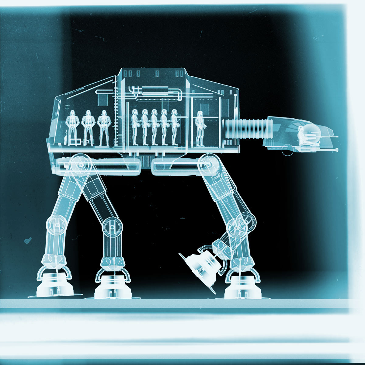 perspective，medical care，X-ray，originality，human skeleton，