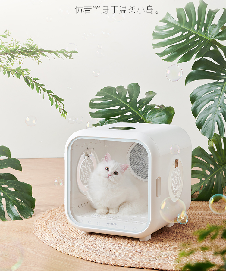 Pets，Drying oven，cat，dog，