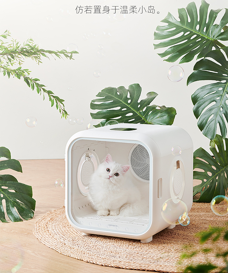 Pets，Drying oven，cat，dog，