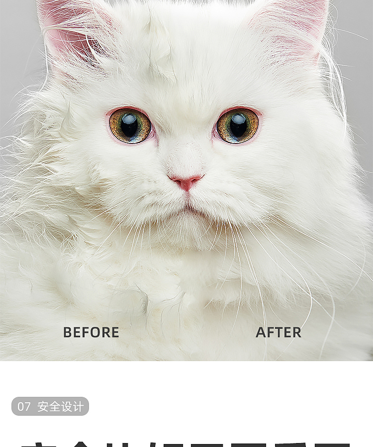 Pets，Drying oven，cat，dog，