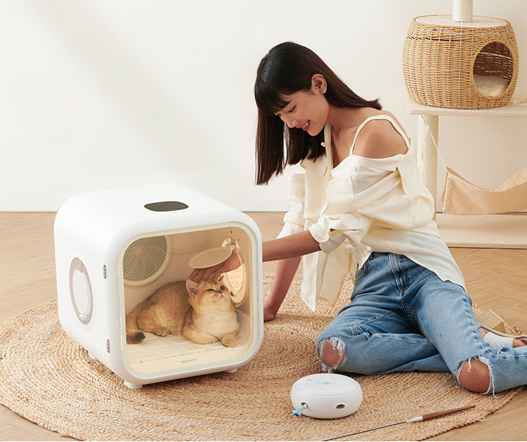 Pets，Drying oven，cat，dog，