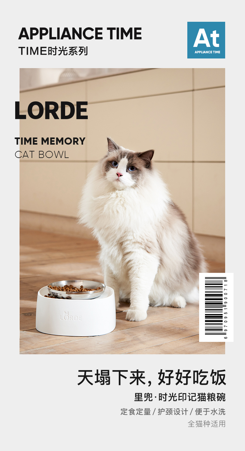 cat，Pets，dog，bowl，Food Basin，