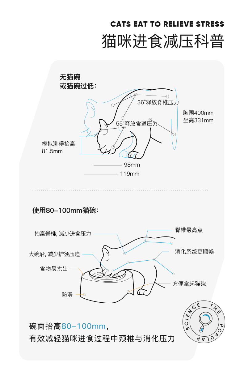 cat，Pets，dog，bowl，Food Basin，