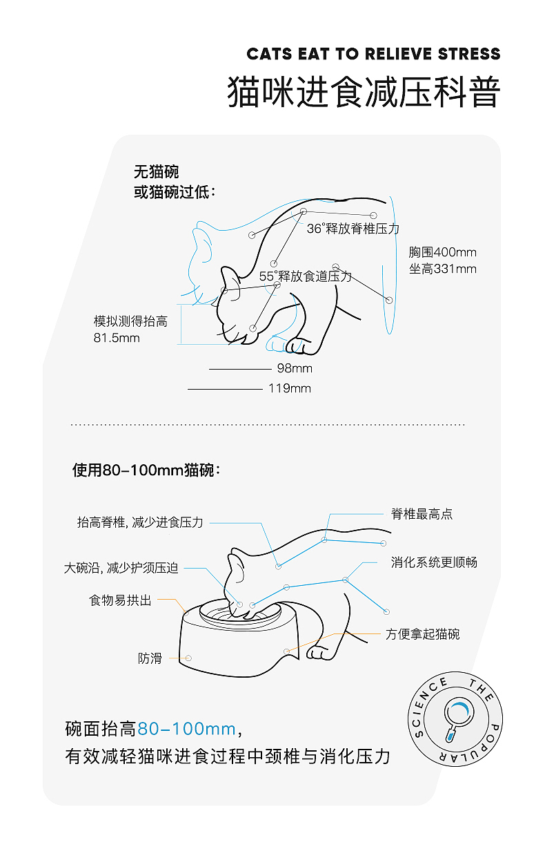 猫，宠物，狗，碗，食盆，