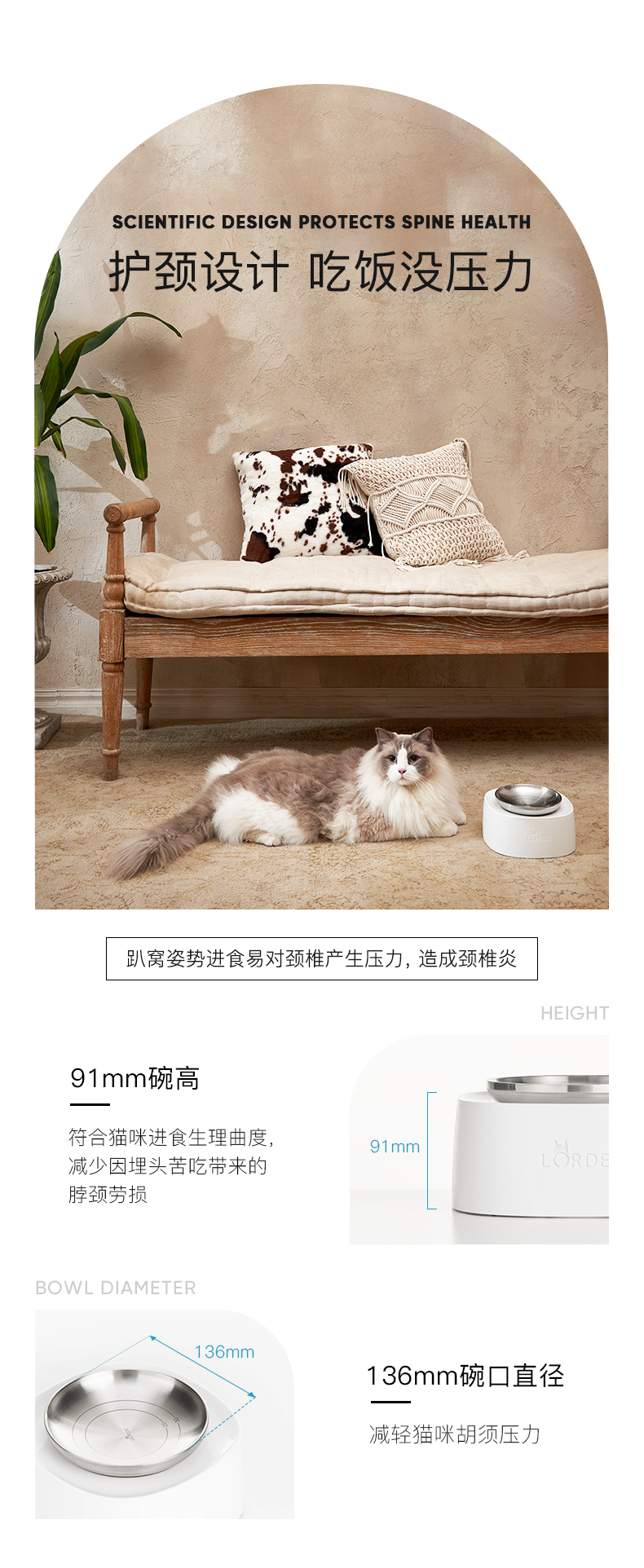 cat，Pets，dog，bowl，Food Basin，