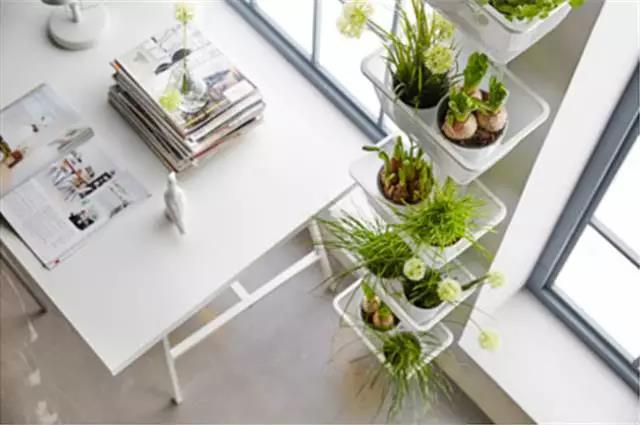 IKEA，Receive，Household products，product design，