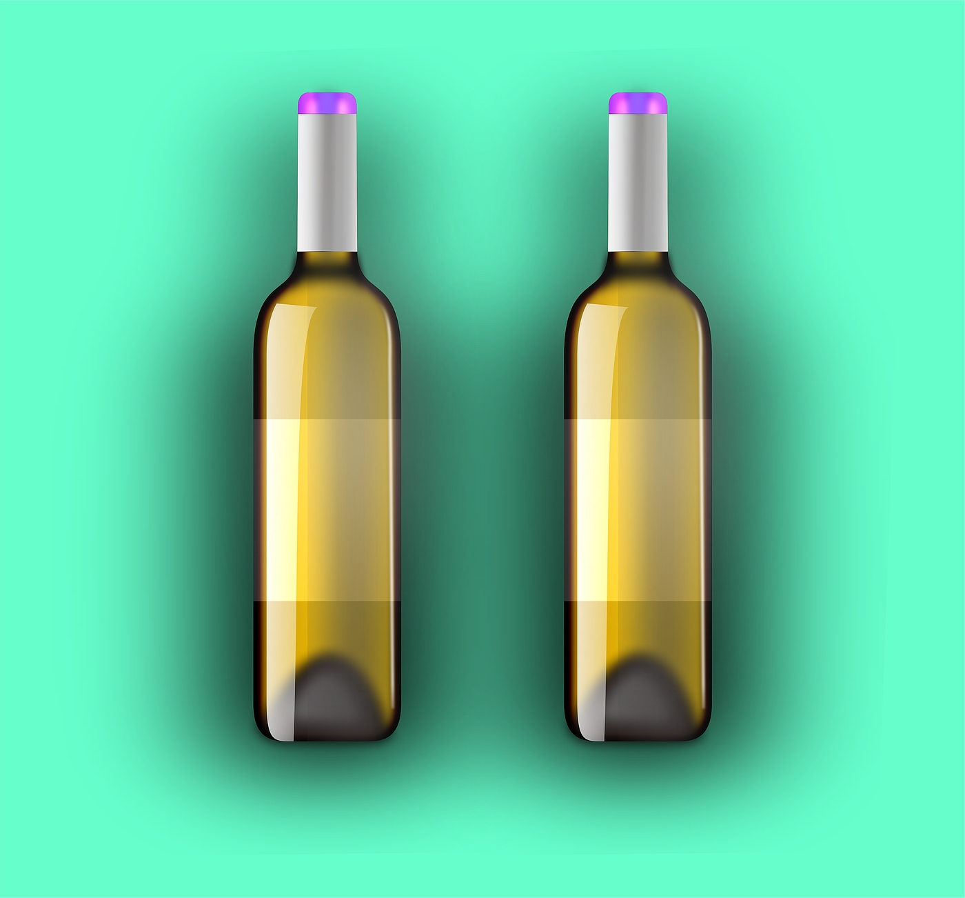 The wine bottle，