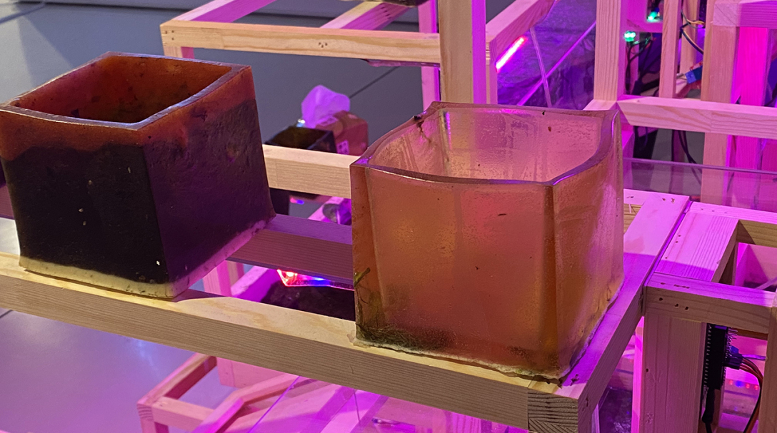 School of design, Central Academy of Fine Arts，Graduation exhibition，Intelligent technology，