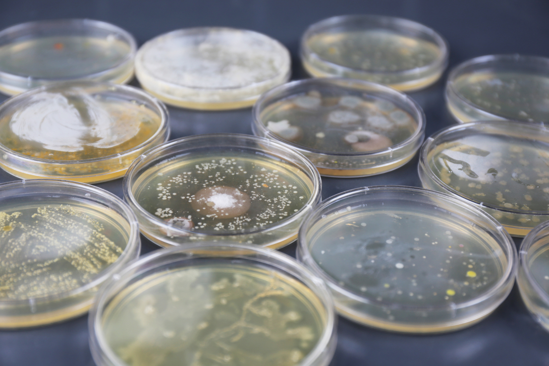 School of design, Central Academy of Fine Arts，Graduation exhibition，biotechnology，