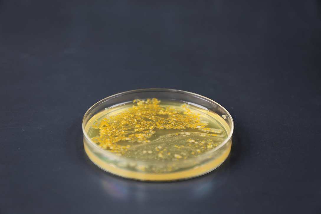 School of design, Central Academy of Fine Arts，Graduation exhibition，biotechnology，