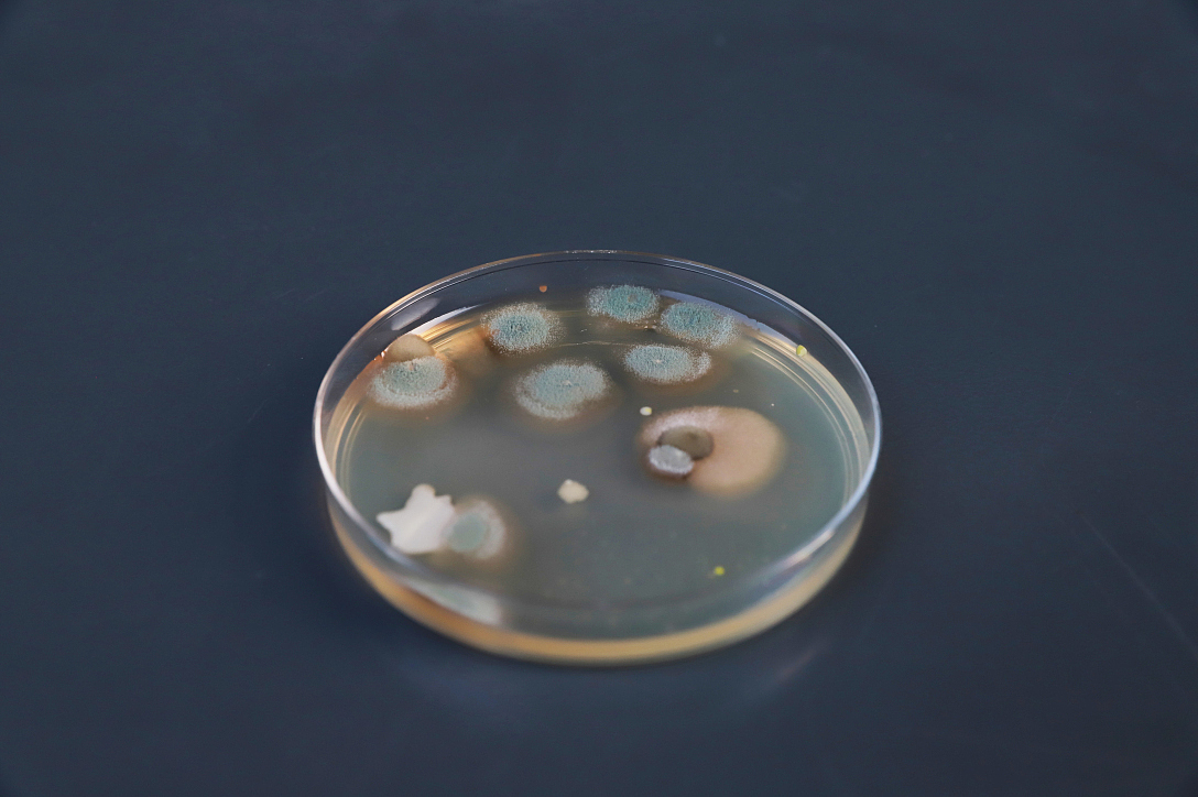 School of design, Central Academy of Fine Arts，Graduation exhibition，biotechnology，