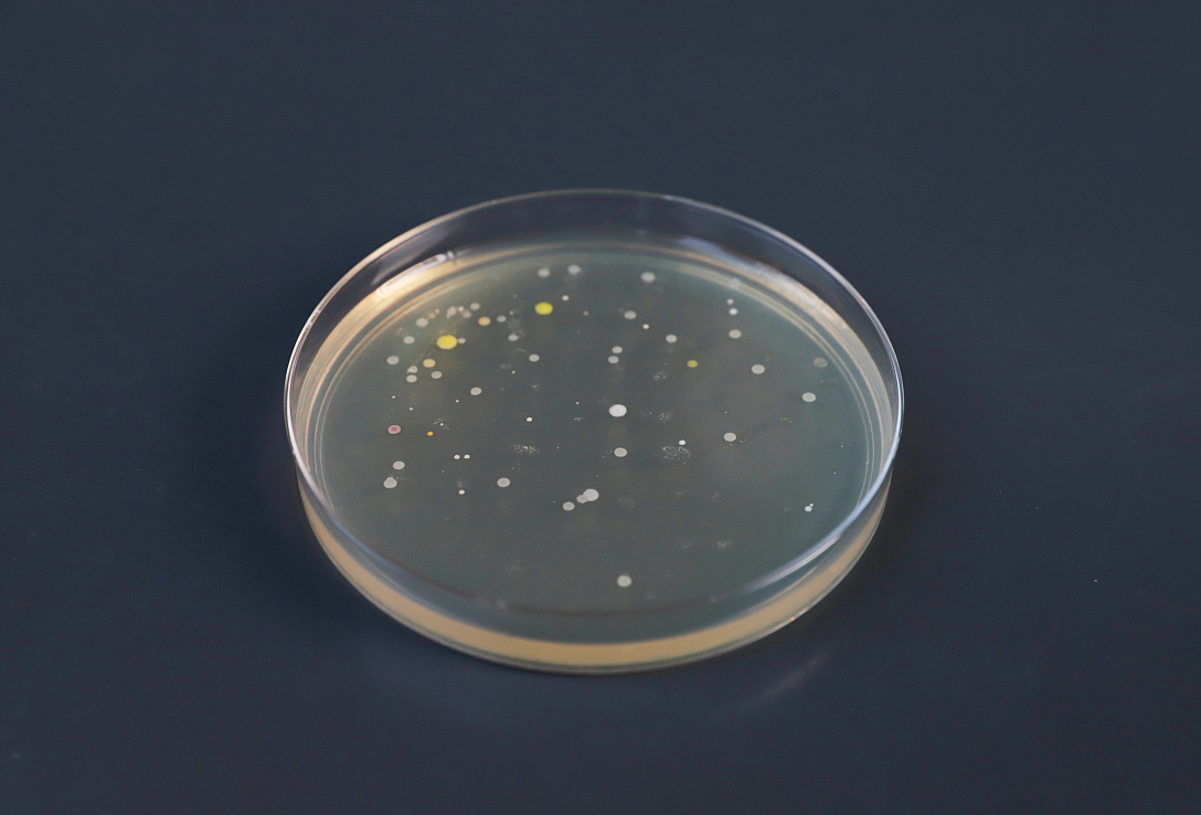 School of design, Central Academy of Fine Arts，Graduation exhibition，biotechnology，